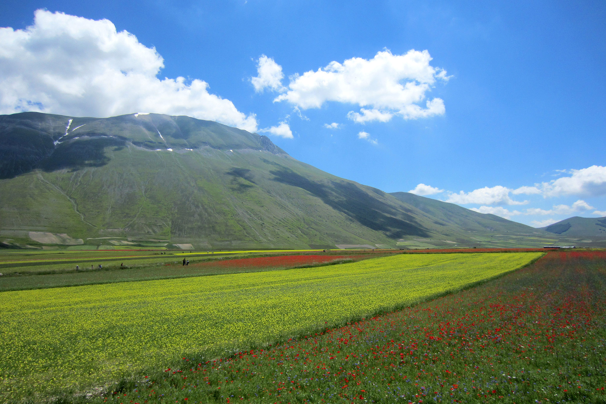 Castelluccio di Norcia lies at 1452 m